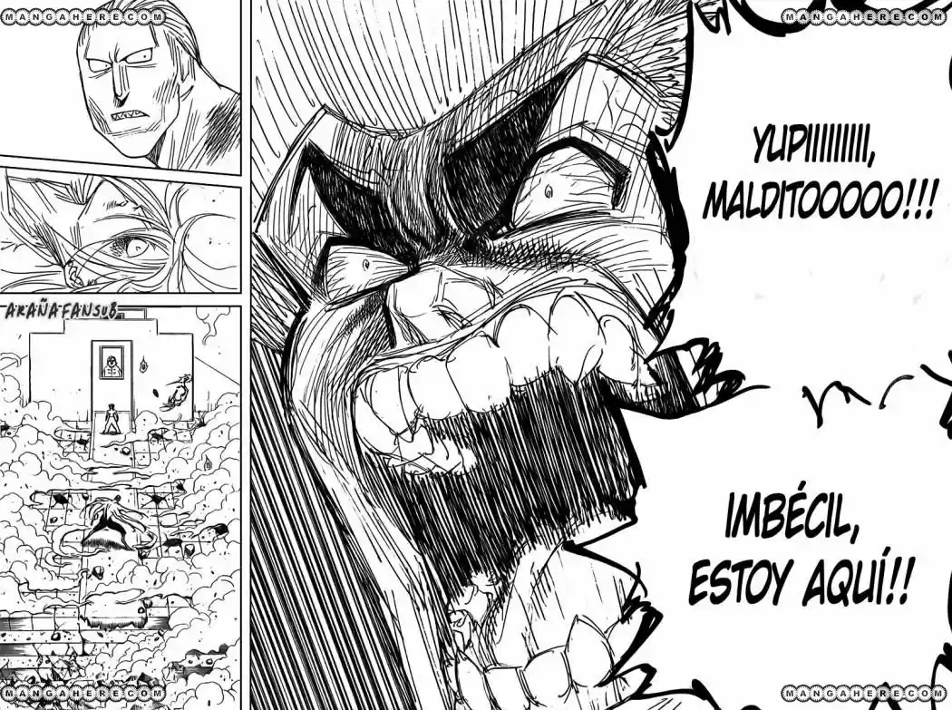 Hunter X Hunter (1998) - Capítulo 272 - Página 14 - LectorTMOo