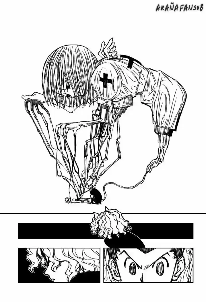 Hunter X Hunter (1998) - Capítulo 273 - Página 17 - LectorTMOo