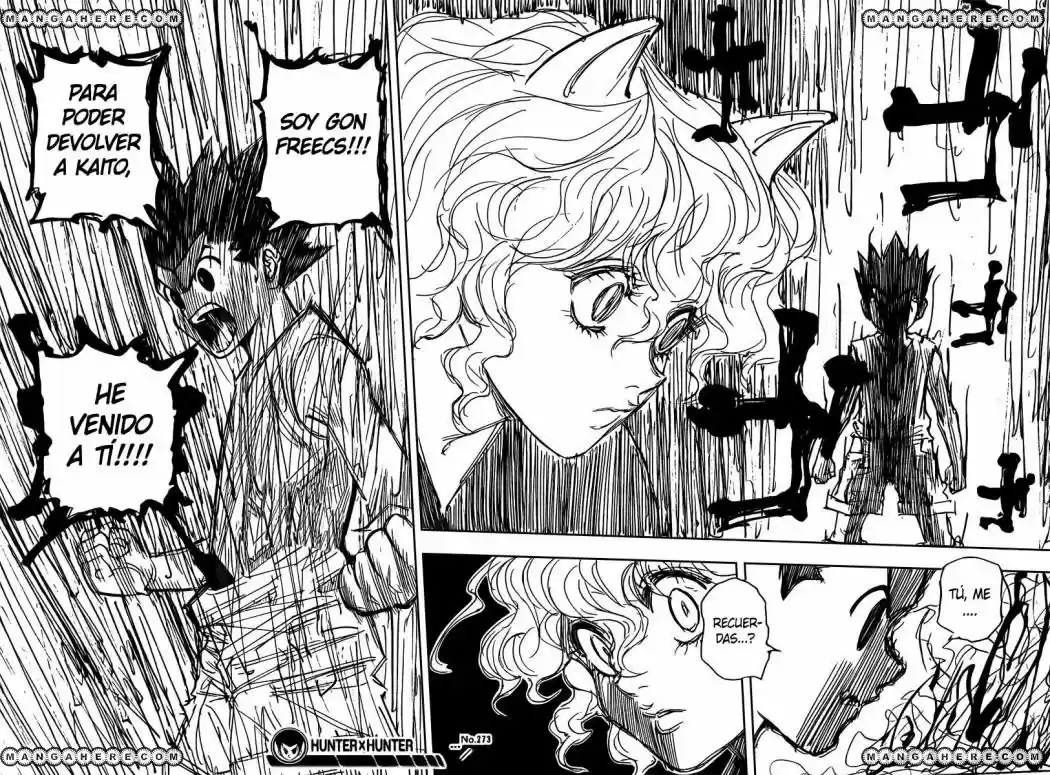 Hunter X Hunter (1998) - Capítulo 273 - Página 18 - LectorTMOo