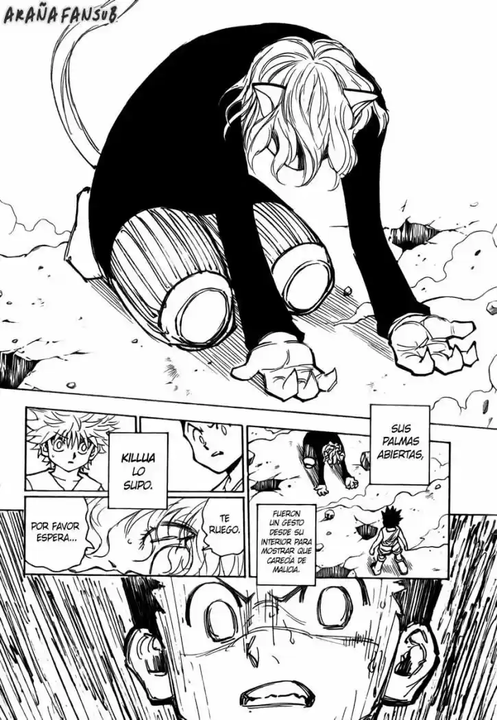 Hunter X Hunter (1998) - Capítulo 274 - Página 9 - LectorTMOo