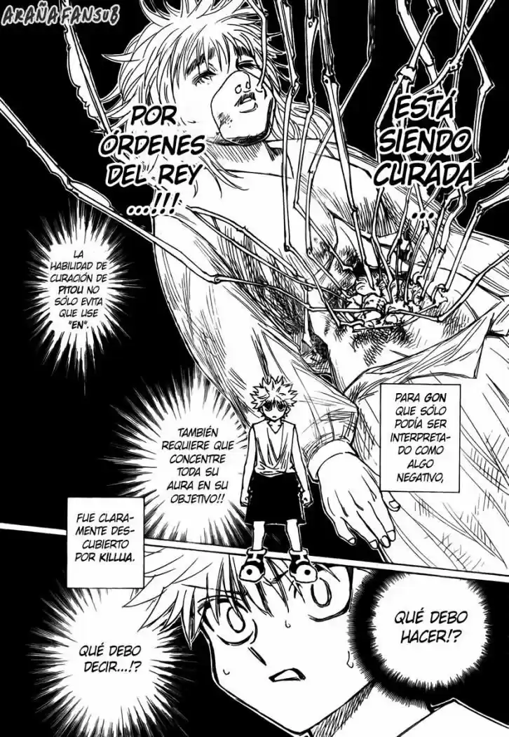 Hunter X Hunter (1998) - Capítulo 274 - Página 12 - LectorTMOo
