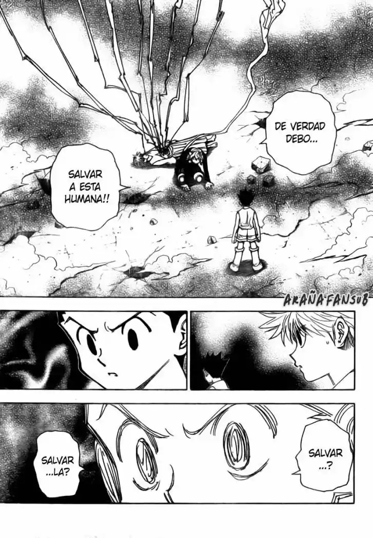 Hunter X Hunter (1998) - Capítulo 274 - Página 14 - LectorTMOo