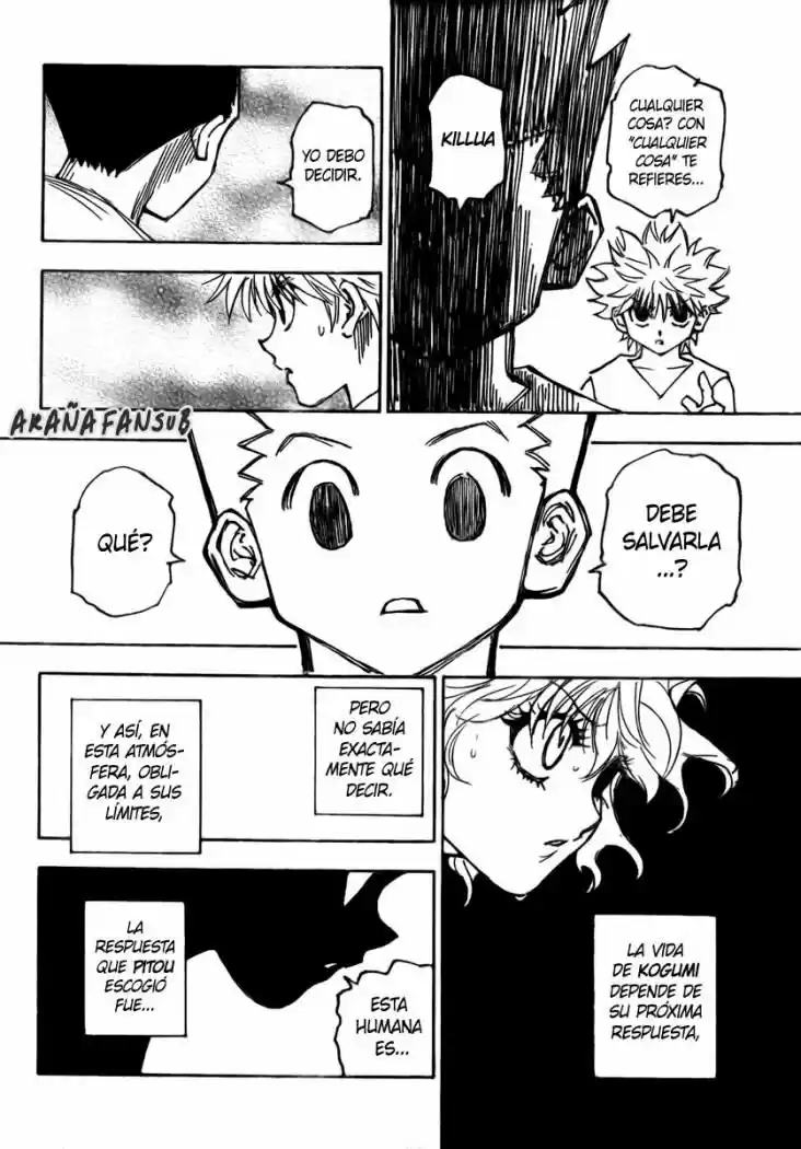 Hunter X Hunter (1998) - Capítulo 274 - Página 15 - LectorTMOo