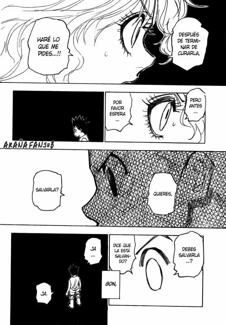Hunter X Hunter (1998) - Capítulo 274 - Página 17 - LectorTMOo