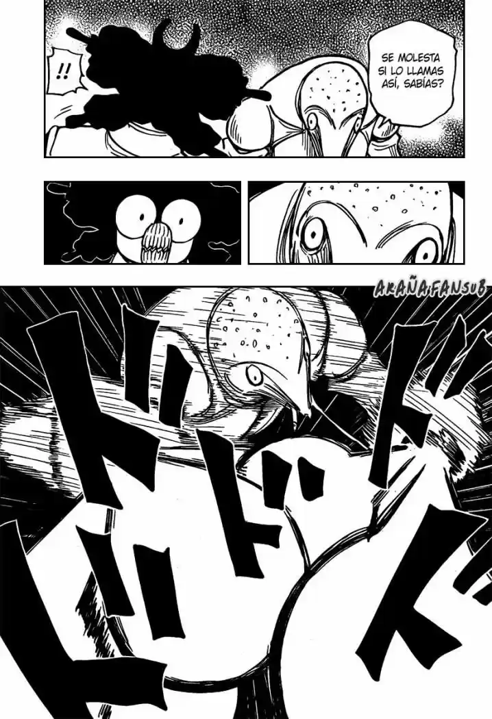 Hunter X Hunter (1998) - Capítulo 279 - Página 15 - LectorTMOo