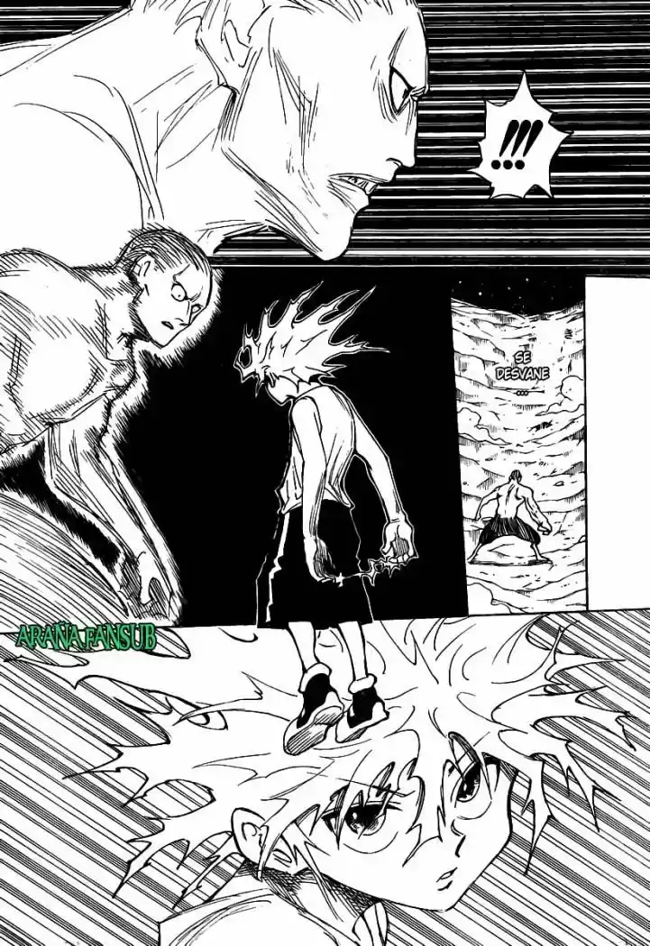Hunter X Hunter (1998) - Capítulo 281 - Página 11 - LectorTMOo