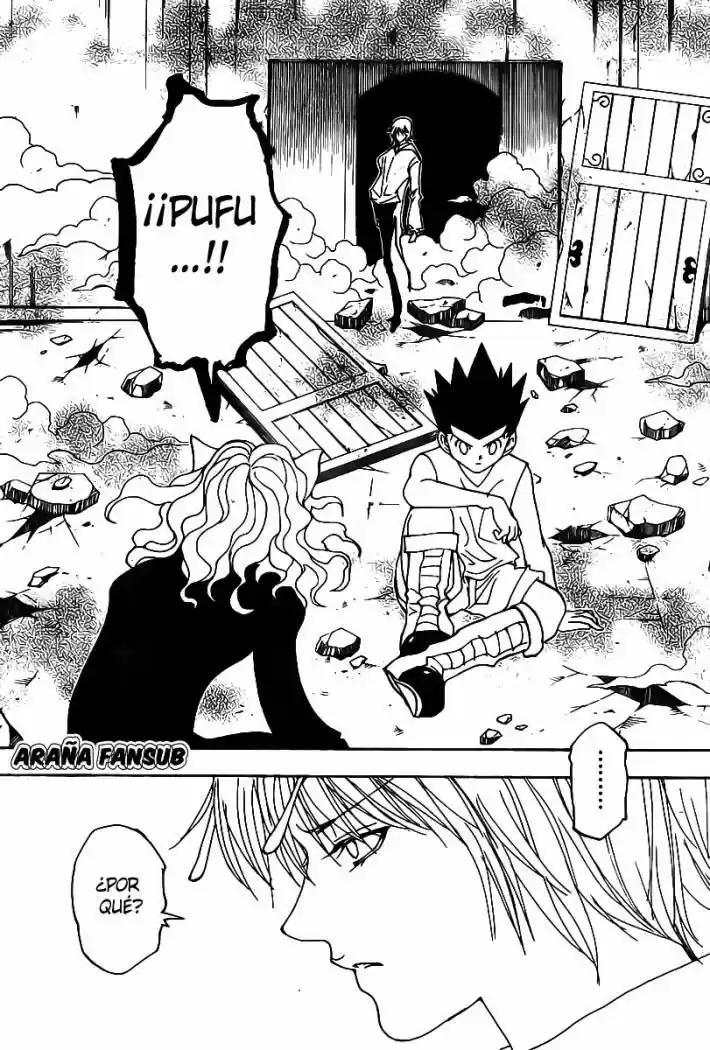 Hunter X Hunter (1998) - Capítulo 286 - Página 17 - LectorTMOo
