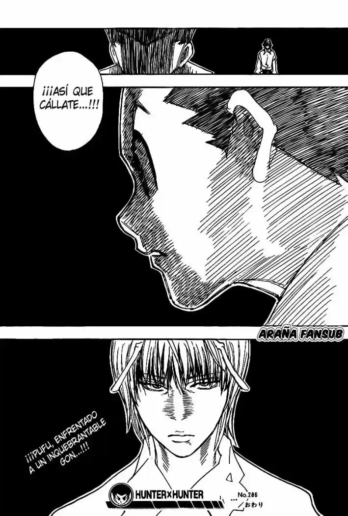 Hunter X Hunter (1998) - Capítulo 286 - Página 19 - LectorTMOo