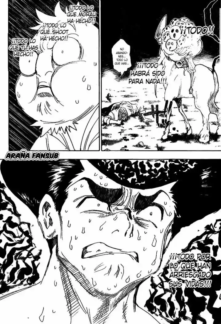 Hunter X Hunter (1998) - Capítulo 289 - Página 10 - LectorTMOo