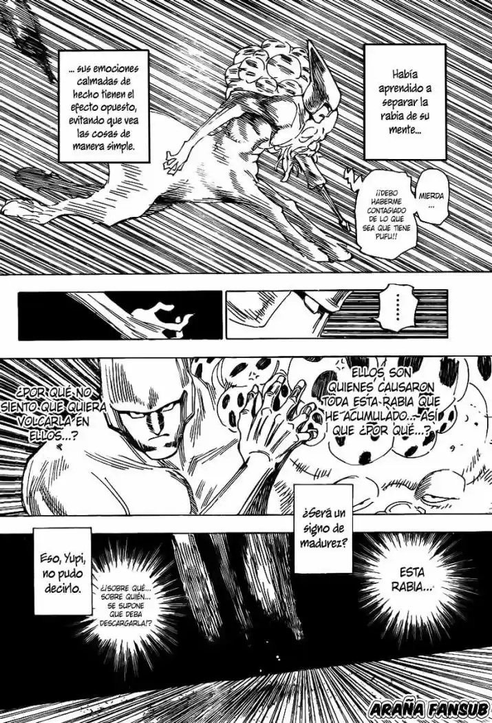 Hunter X Hunter (1998) - Capítulo 289 - Página 17 - LectorTMOo