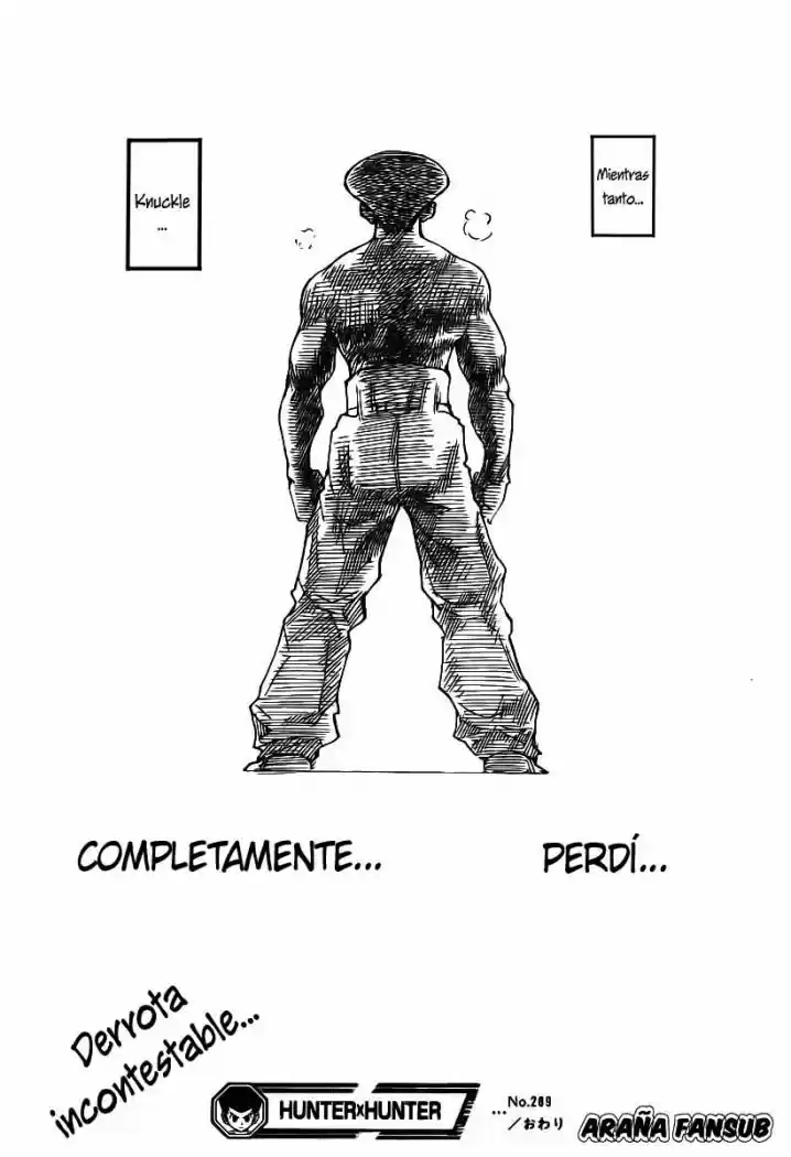 Hunter X Hunter (1998) - Capítulo 289 - Página 18 - LectorTMOo