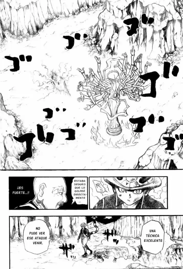 Hunter X Hunter (1998) - Capítulo 290 - Página 10 - LectorTMOo
