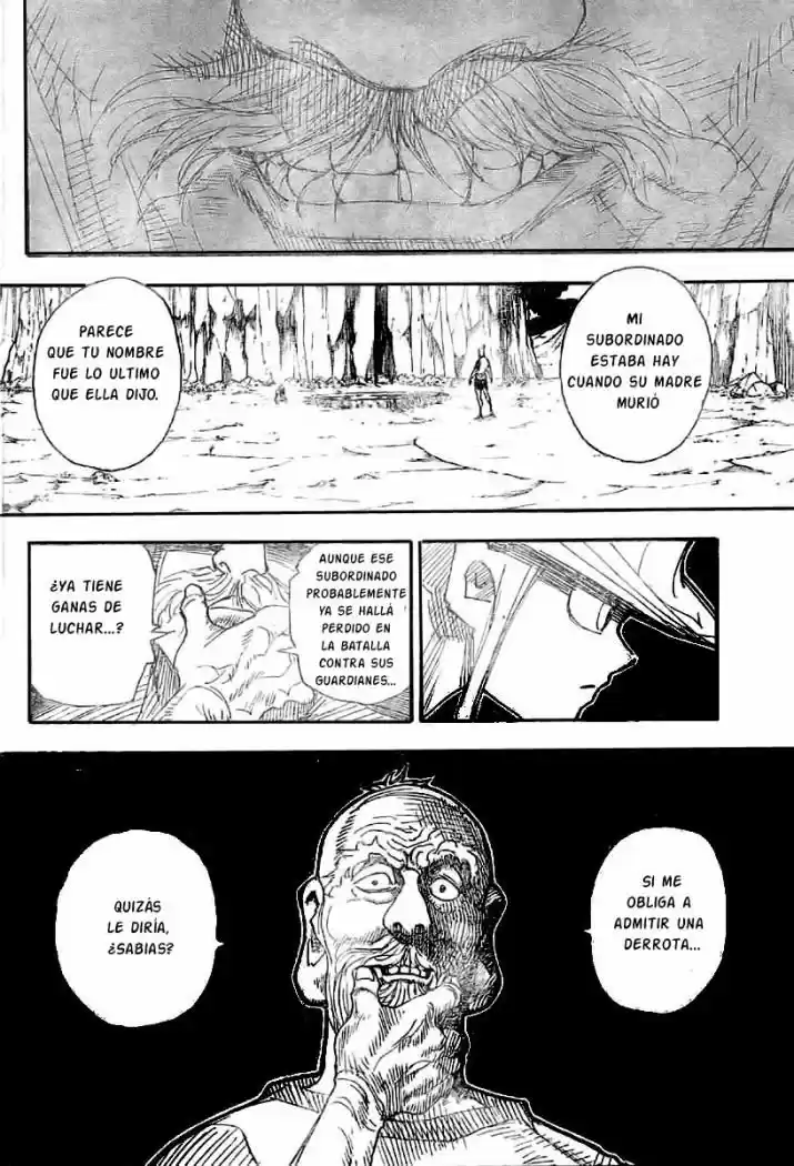 Hunter X Hunter (1998) - Capítulo 290 - Página 17 - LectorTMOo