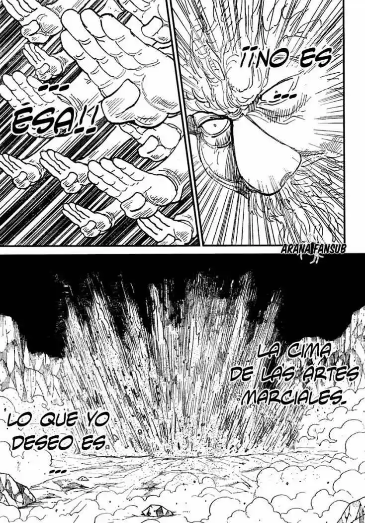 Hunter X Hunter (1998) - Capítulo 291 - Página 11 - LectorTMOo