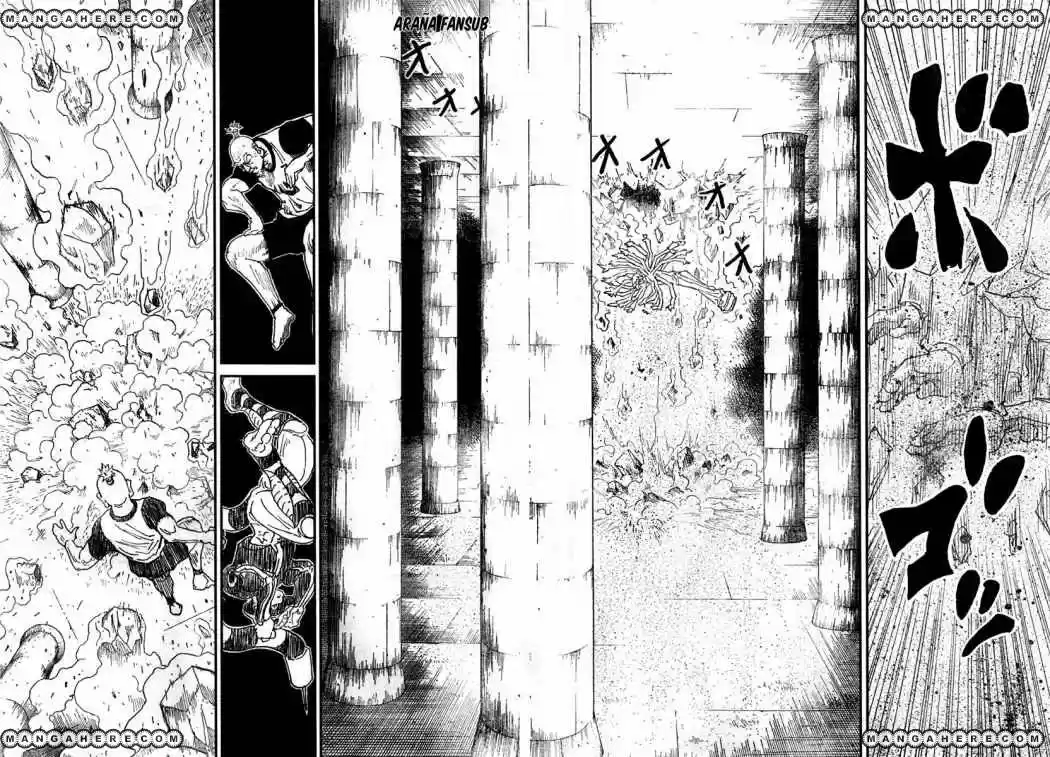 Hunter X Hunter (1998) - Capítulo 291 - Página 13 - LectorTMOo
