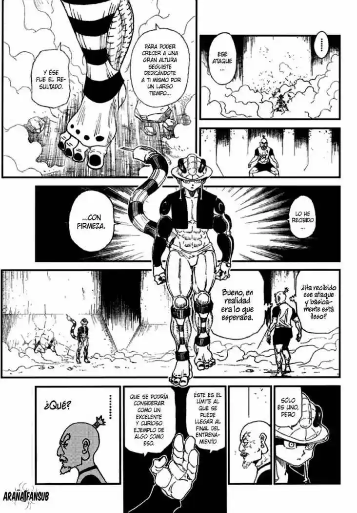 Hunter X Hunter (1998) - Capítulo 292 - Página 8 - LectorTMOo