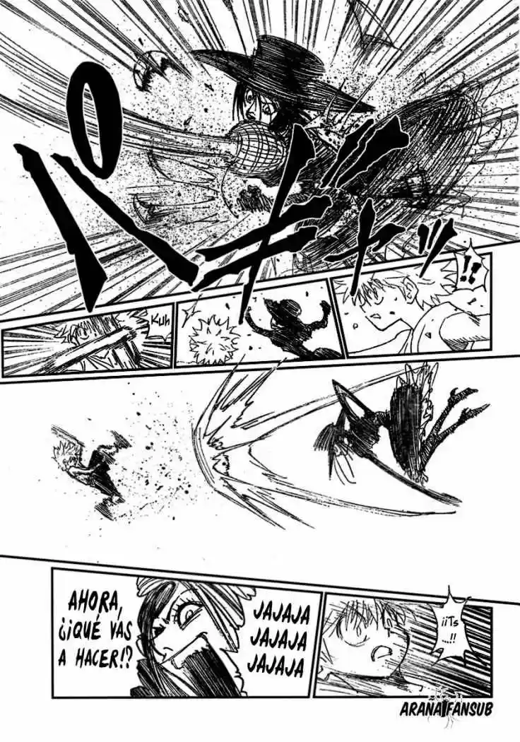 Hunter X Hunter (1998) - Capítulo 293 - Página 17 - LectorTMOo