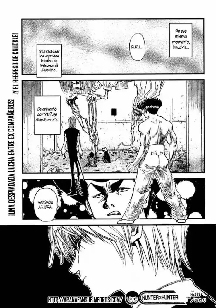 Hunter X Hunter (1998) - Capítulo 293 - Página 19 - LectorTMOo