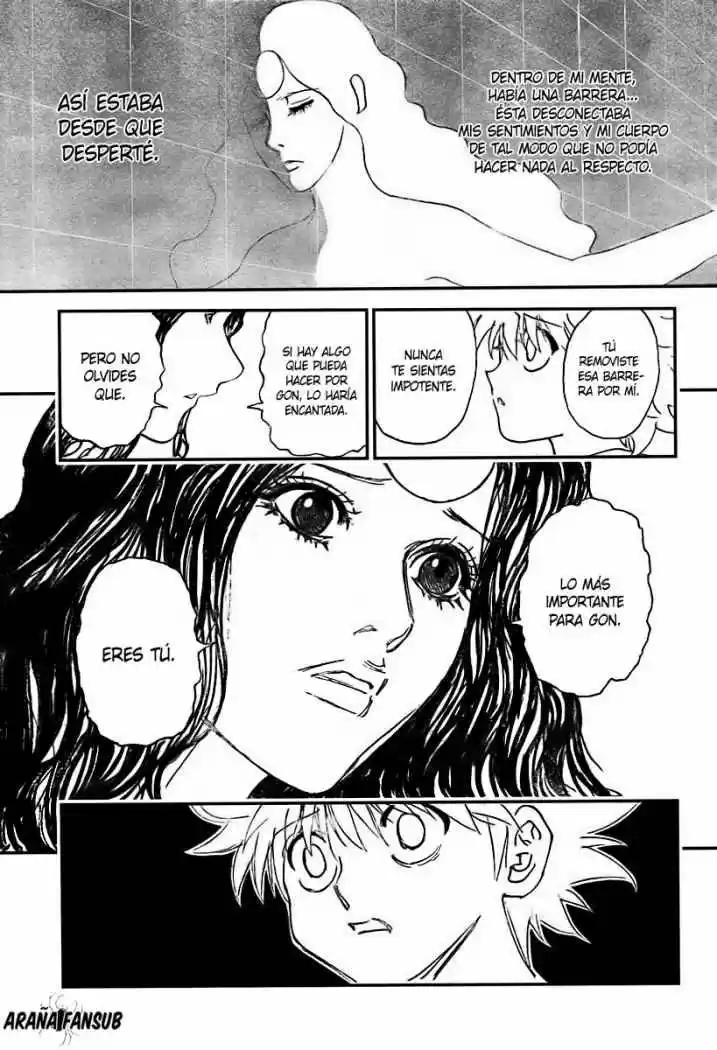 Hunter X Hunter (1998) - Capítulo 294 - Página 17 - LectorTMOo