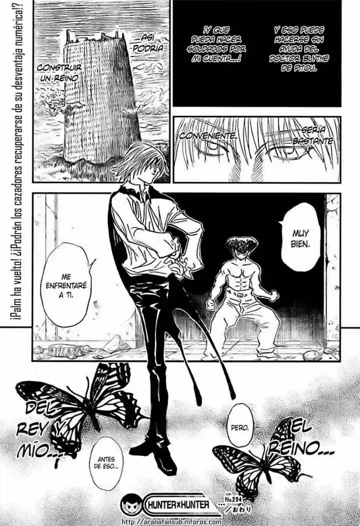 Hunter X Hunter (1998) - Capítulo 294 - Página 19 - LectorTMOo