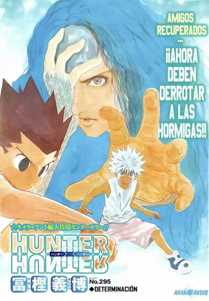 Hunter X Hunter (1998) - Capítulo 295 - Página 1 - LectorTMOo