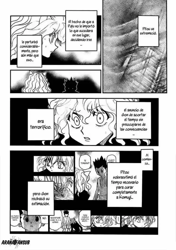 Hunter X Hunter (1998) - Capítulo 295 - Página 12 - LectorTMOo