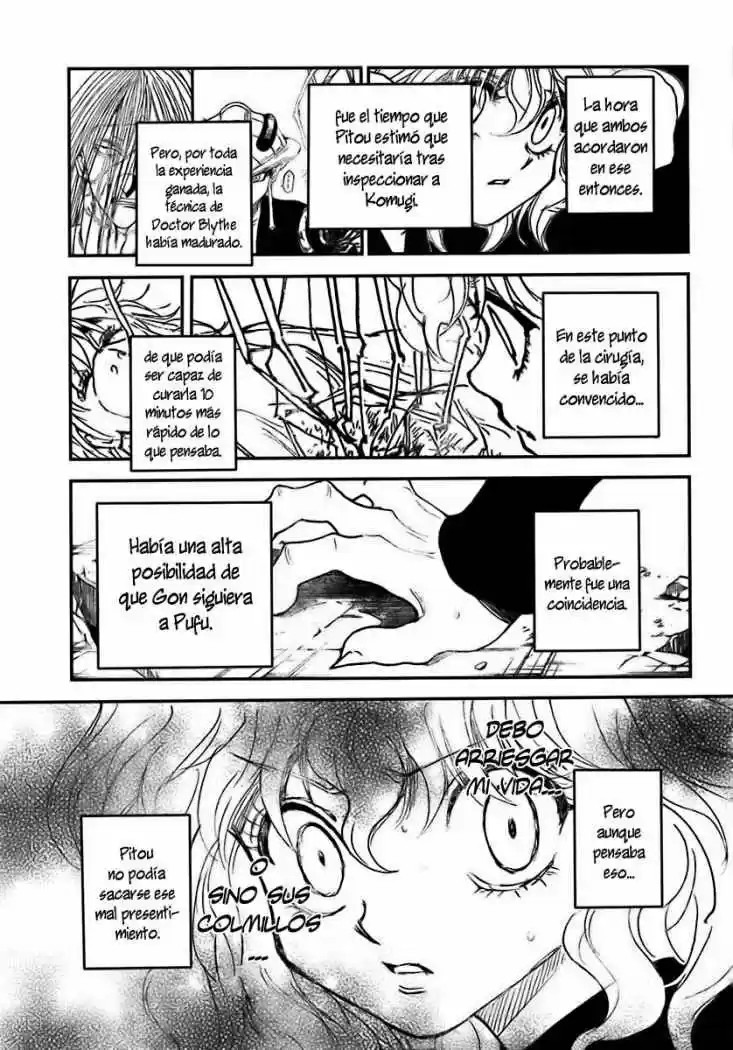 Hunter X Hunter (1998) - Capítulo 295 - Página 13 - LectorTMOo