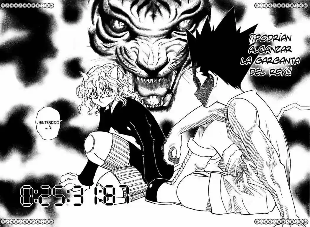 Hunter X Hunter (1998) - Capítulo 295 - Página 14 - LectorTMOo