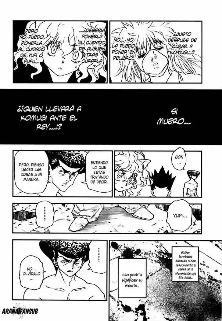 Hunter X Hunter (1998) - Capítulo 295 - Página 17 - LectorTMOo