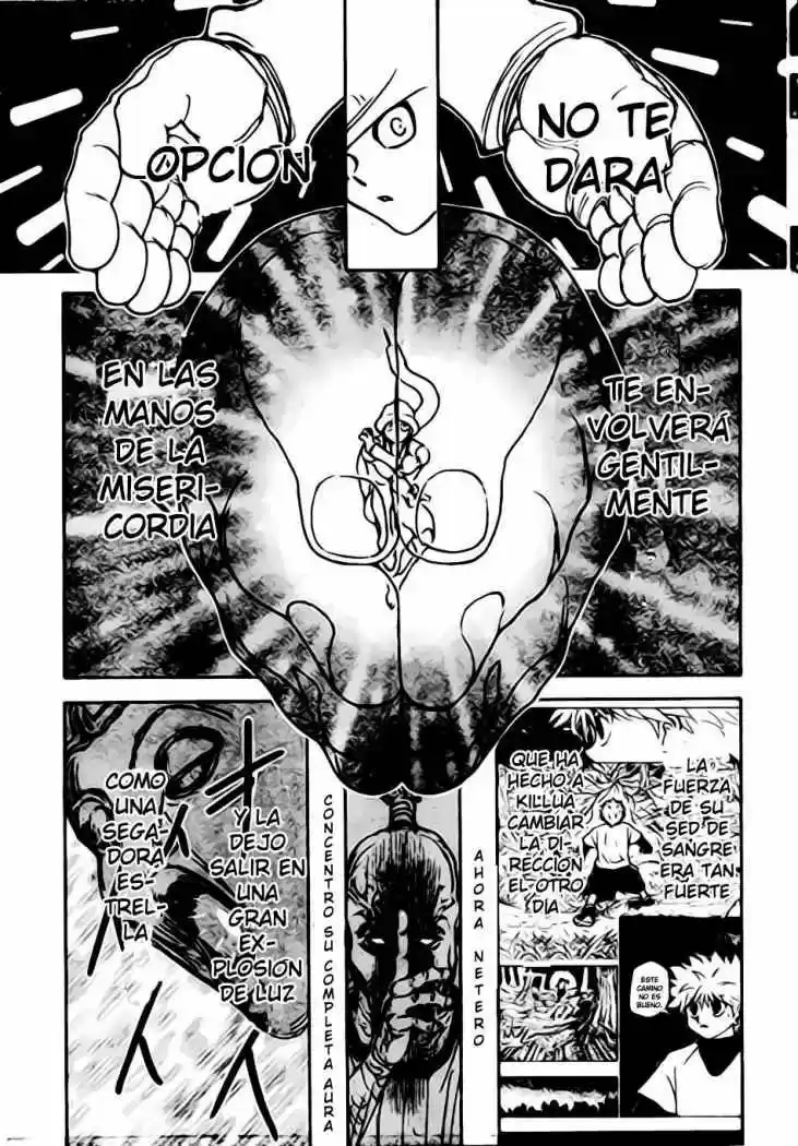 Hunter X Hunter (1998) - Capítulo 297 - Página 12 - LectorTMOo