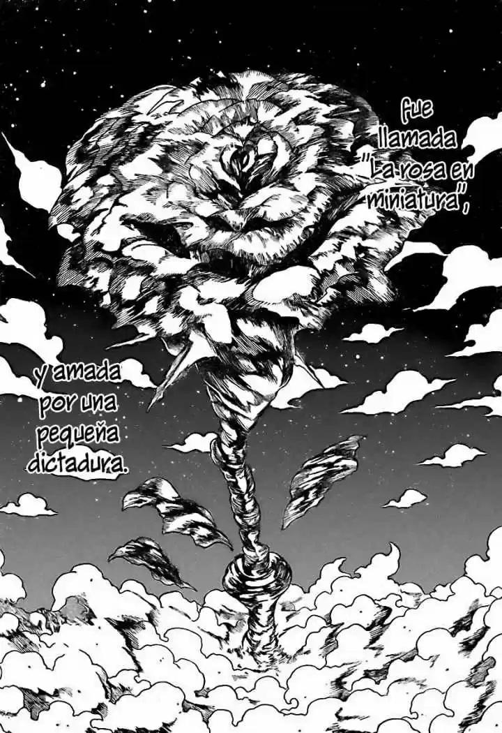 Hunter X Hunter (1998) - Capítulo 298 - Página 8 - LectorTMOo
