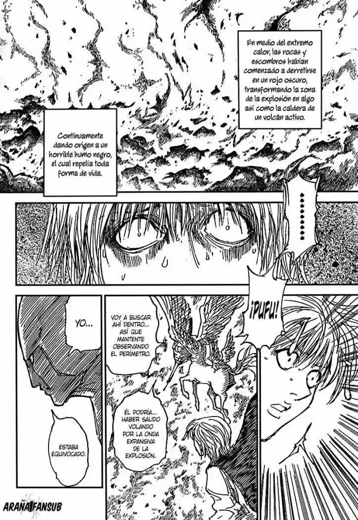 Hunter X Hunter (1998) - Capítulo 298 - Página 15 - LectorTMOo