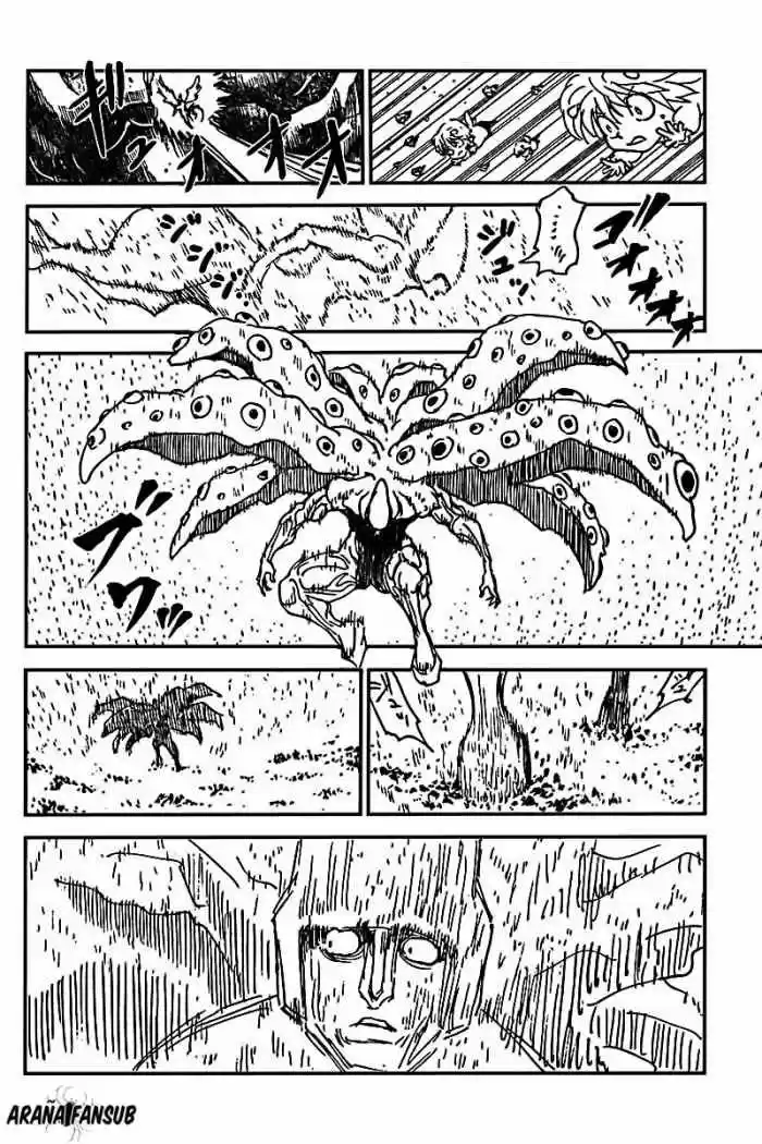 Hunter X Hunter (1998) - Capítulo 298 - Página 17 - LectorTMOo
