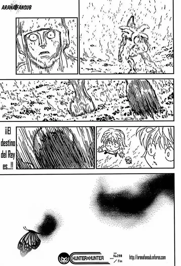 Hunter X Hunter (1998) - Capítulo 298 - Página 18 - LectorTMOo