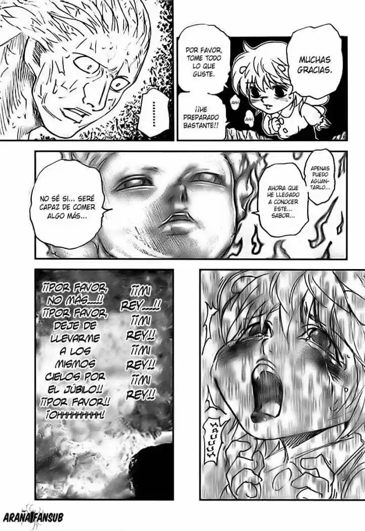 Hunter X Hunter (1998) - Capítulo 299 - Página 10 - LectorTMOo