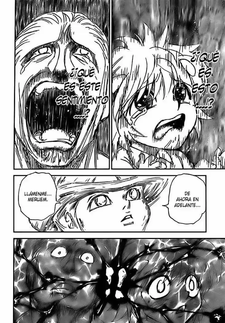 Hunter X Hunter (1998) - Capítulo 299 - Página 14 - LectorTMOo