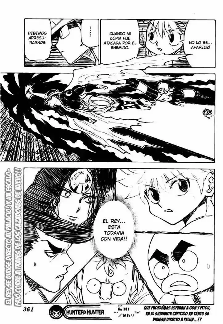 Hunter X Hunter (1998) - Capítulo 301 - Página 19 - LectorTMOo