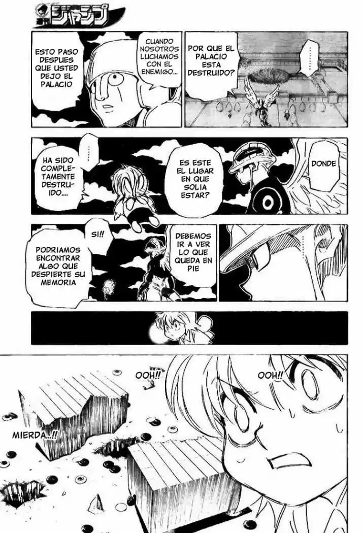 Hunter X Hunter (1998) - Capítulo 303 - Página 17 - LectorTMOo