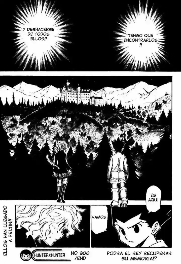 Hunter X Hunter (1998) - Capítulo 303 - Página 19 - LectorTMOo