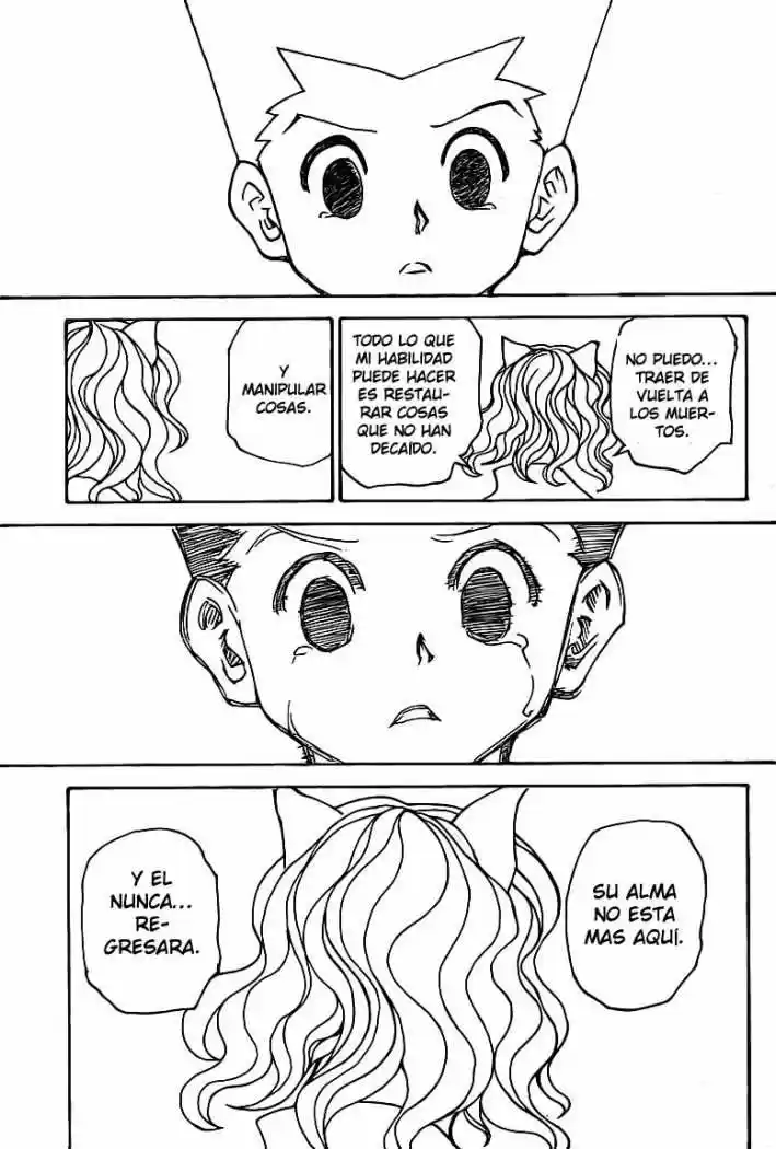 Hunter X Hunter (1998) - Capítulo 304 - Página 15 - LectorTMOo