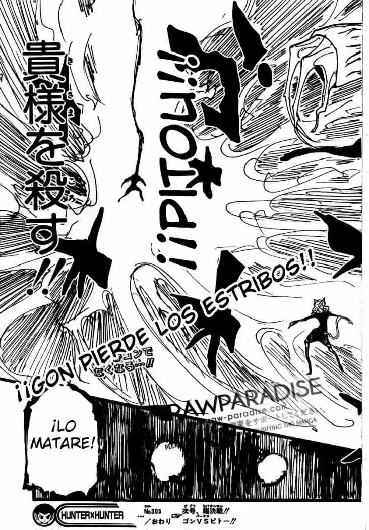 Hunter X Hunter (1998) - Capítulo 305 - Página 17 - LectorTMOo
