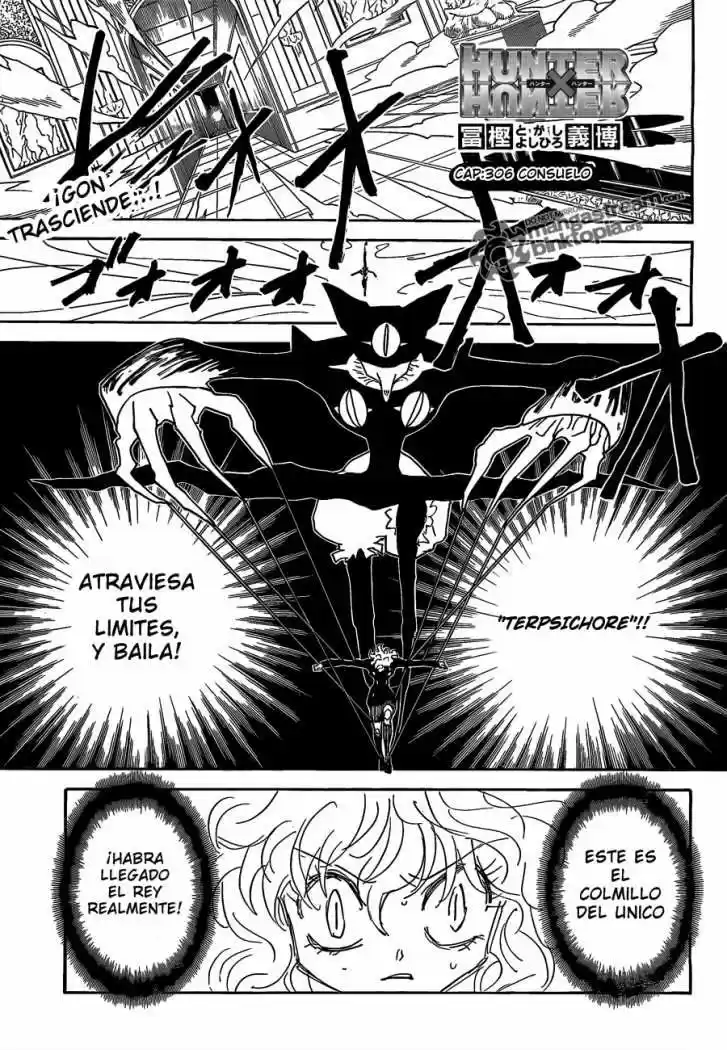 Hunter X Hunter (1998) - Capítulo 306 - Página 1 - LectorTMOo