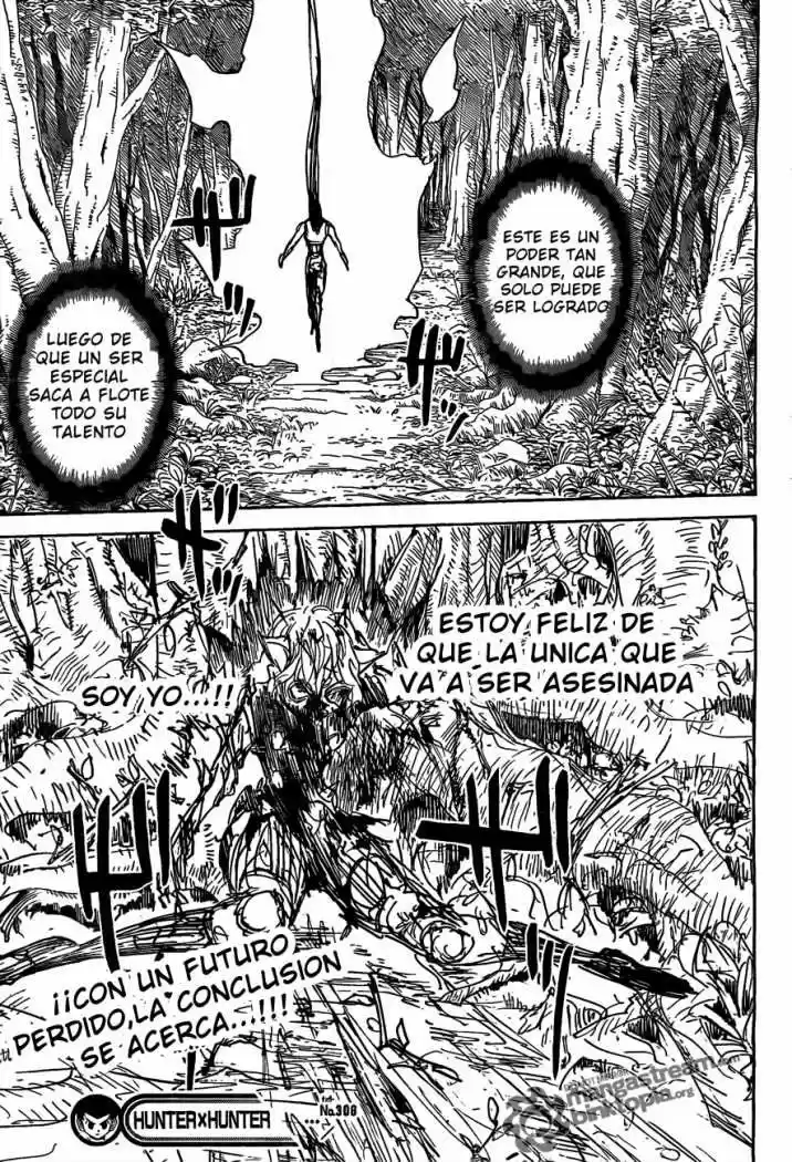 Hunter X Hunter (1998) - Capítulo 306 - Página 15 - LectorTMOo