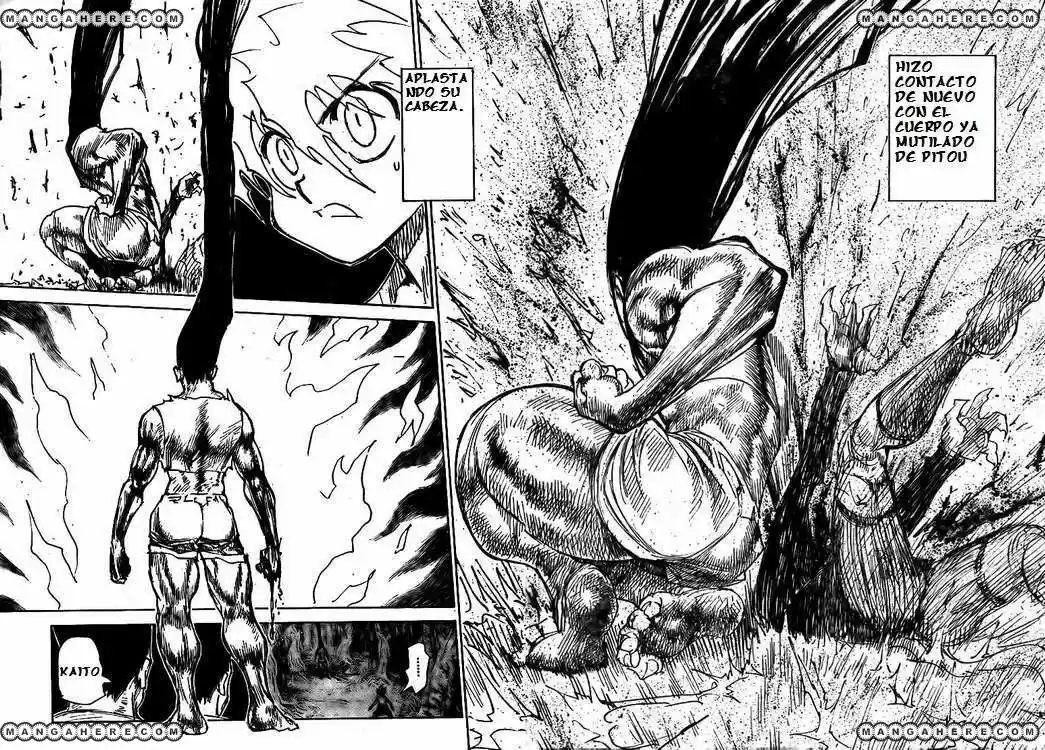 Hunter X Hunter (1998) - Capítulo 307 - Página 4 - LectorTMOo