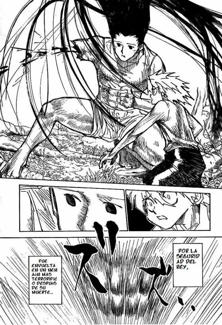 Hunter X Hunter (1998) - Capítulo 307 - Página 10 - LectorTMOo