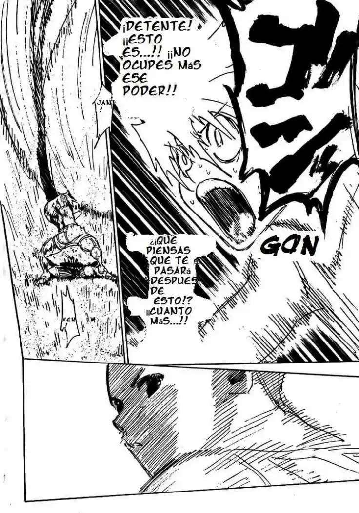 Hunter X Hunter (1998) - Capítulo 307 - Página 17 - LectorTMOo