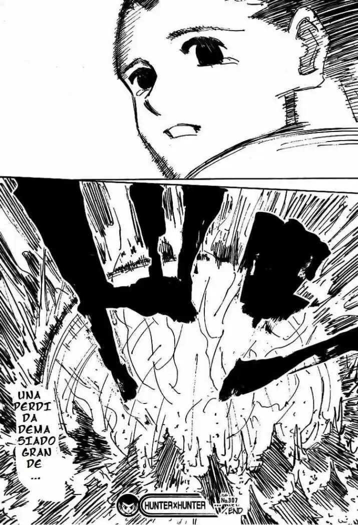 Hunter X Hunter (1998) - Capítulo 307 - Página 18 - LectorTMOo