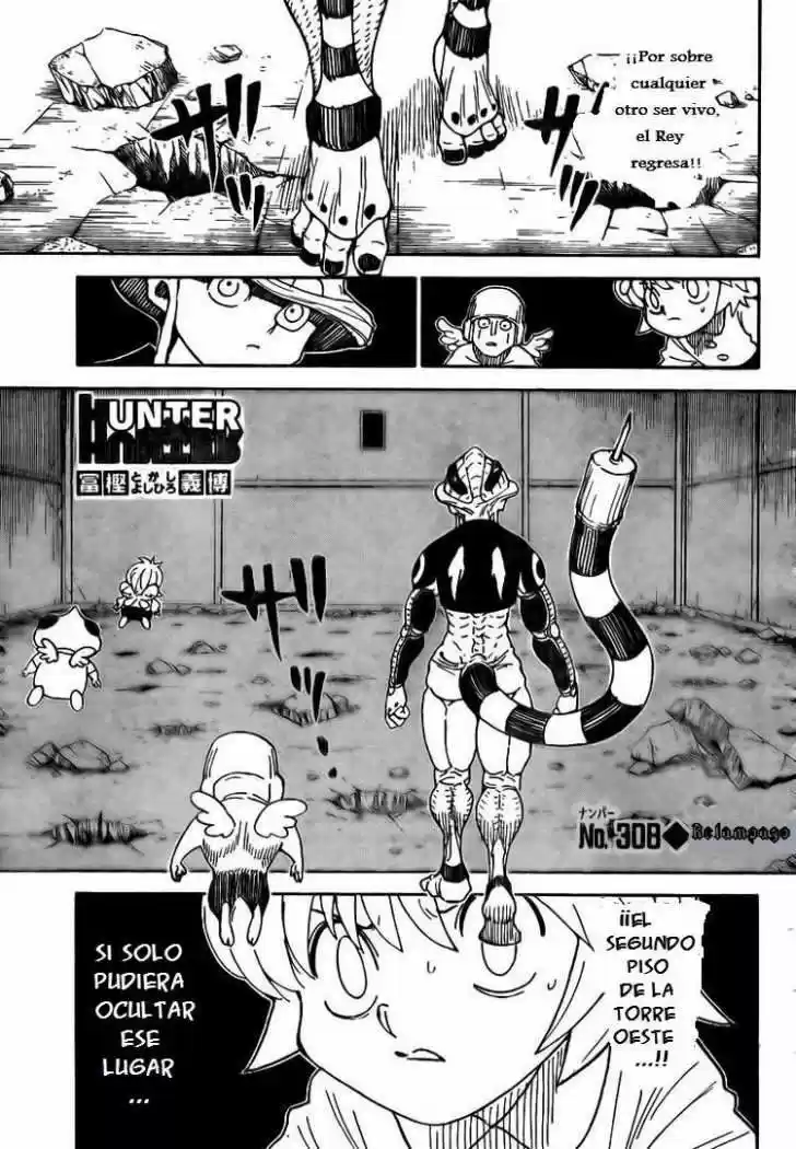 Hunter X Hunter (1998) - Capítulo 308 - Página 1 - LectorTMOo