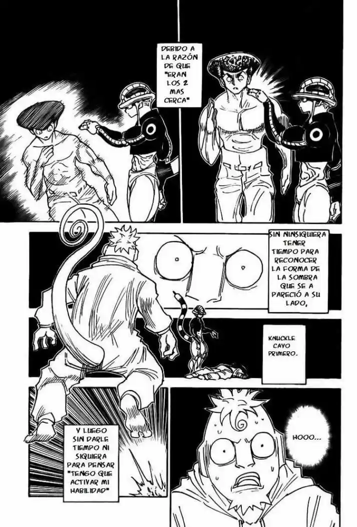 Hunter X Hunter (1998) - Capítulo 308 - Página 15 - LectorTMOo