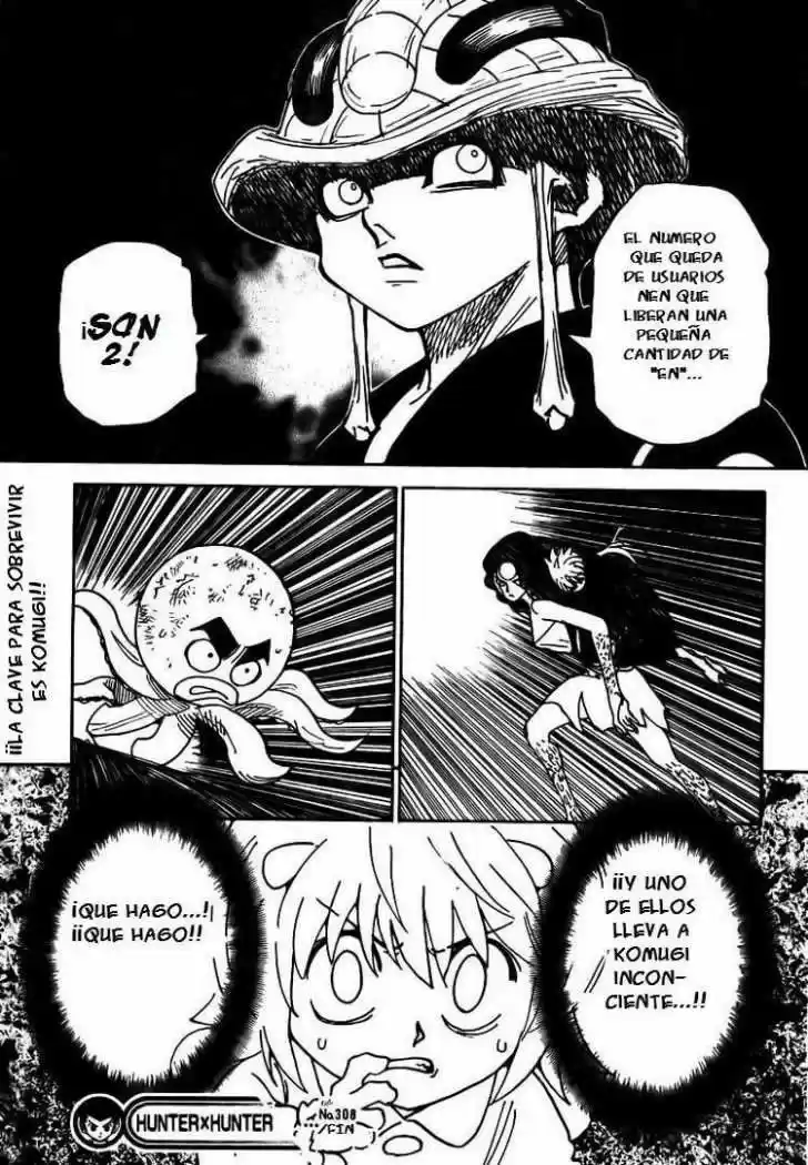 Hunter X Hunter (1998) - Capítulo 308 - Página 17 - LectorTMOo